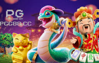 ayx官方app2024最新版