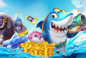 ayx官方app2024最新版